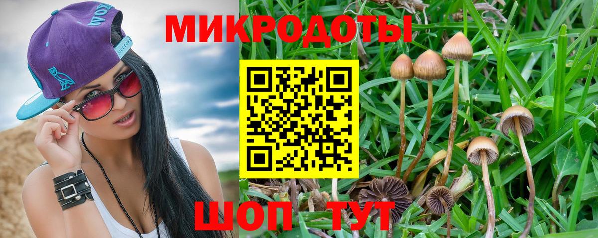 Псилоцибиновые грибы мухоморы Советская Гавань