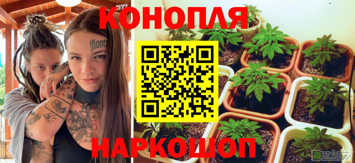 Конопля SATIVA & INDICA  Шишки марихуана THC 21%  Советская Гавань  Вход с VPN  Бошки марихуана тримм 